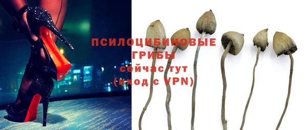 метамфетамин Белокуриха